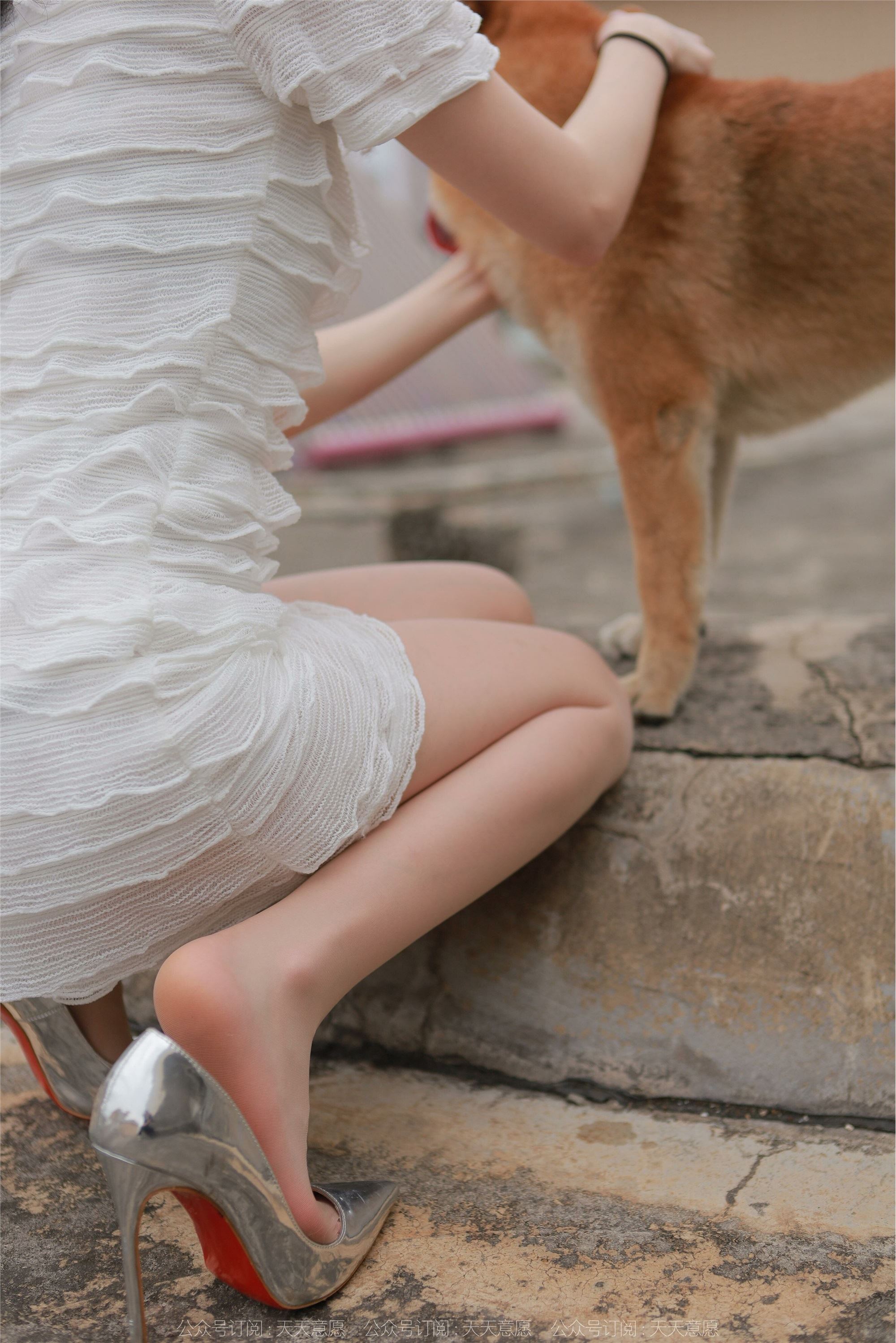 IESS异思趣向 2021.11.25 丝享家979：佳爷《12月女神佳爷-特辑》